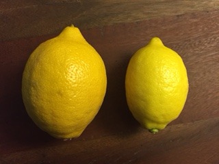 Picture of organic lemon and conventional lemon